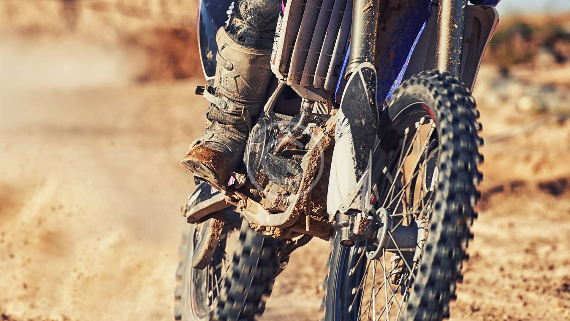 gallery-4-copyright-min