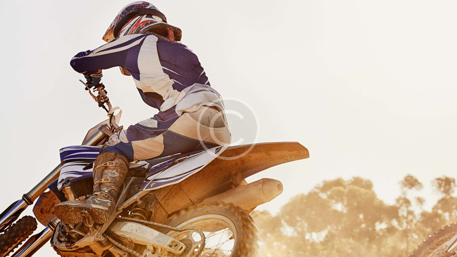 gallery-6-copyright-min